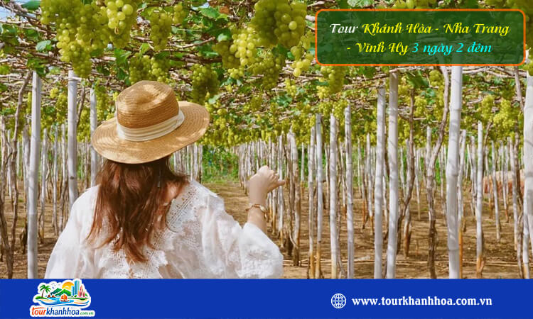 Tour Khánh Hòa - Nha Trang - Vĩnh Hy 3 ngày 2 đêm